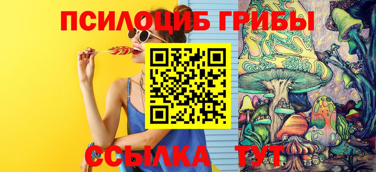 Алейск  Псилоцибиновые грибы Psilocybe  Галлюциногенные грибы прущие грибы  Вход с VPN 